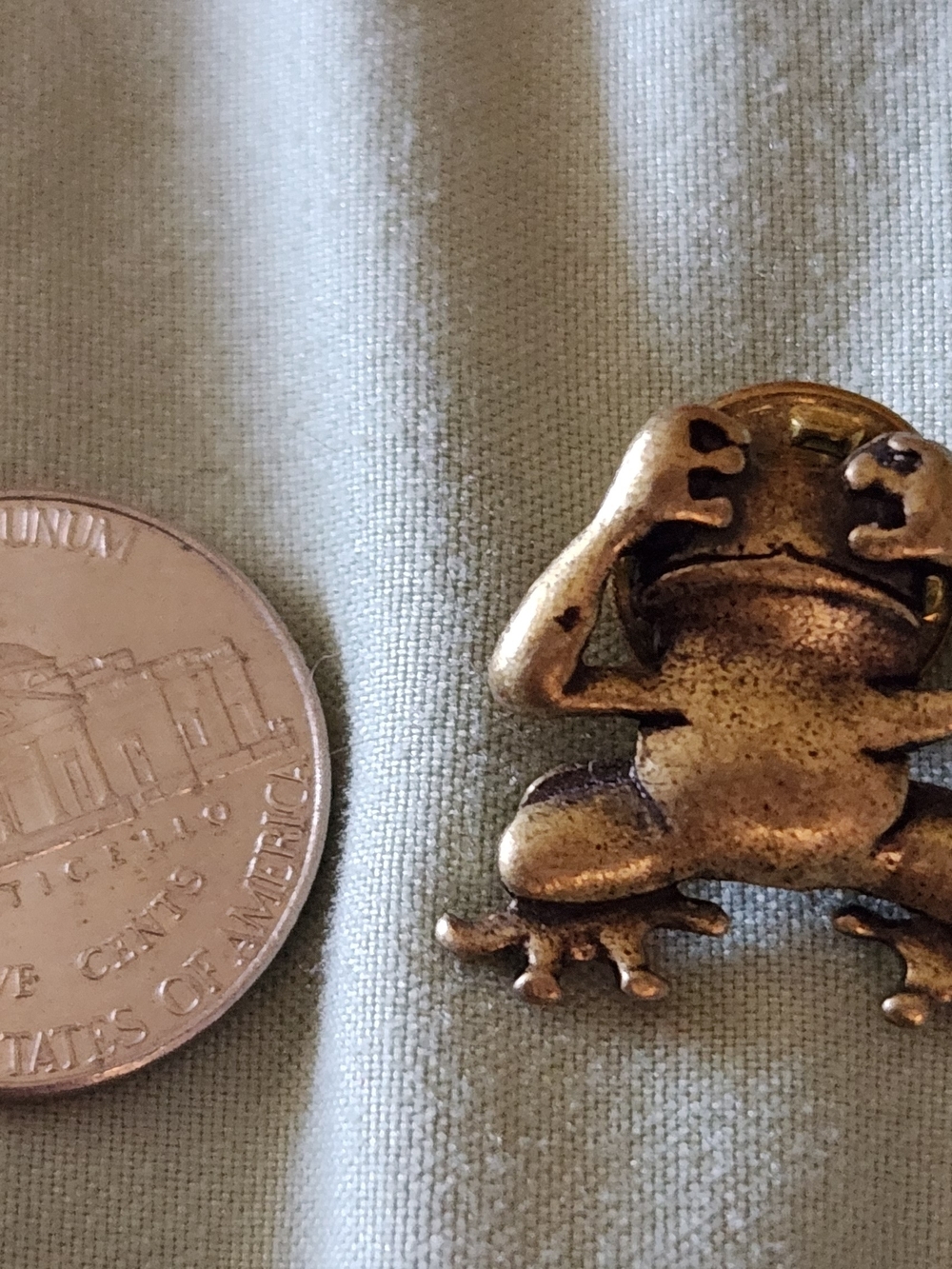 Bronze Frog - Decorative Small Pin
